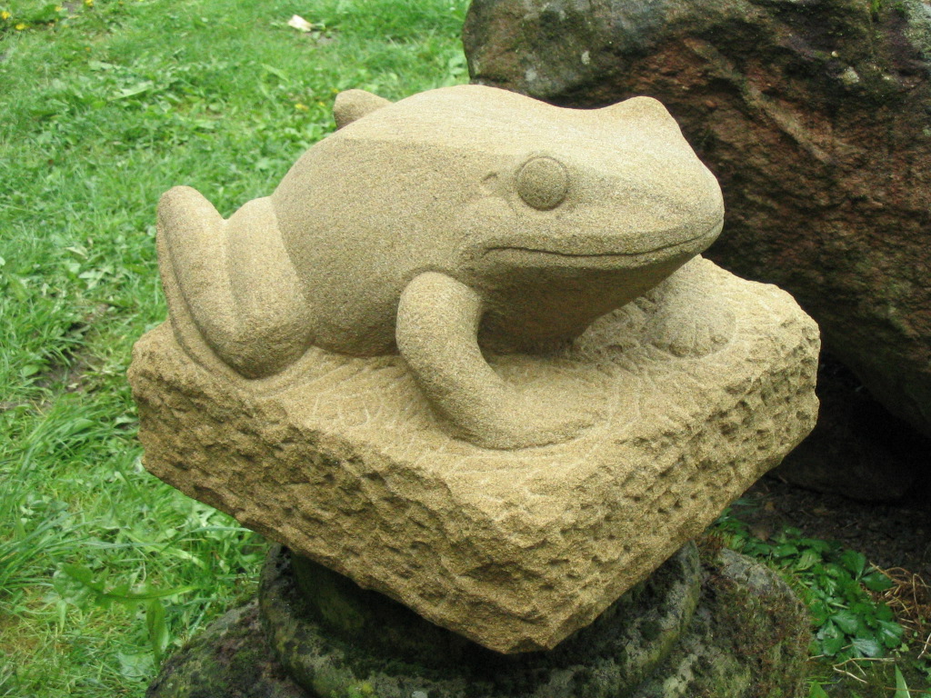 Frosch2016 (2).JPG